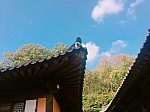 20160389 HuiseonChoi.jpg 20160389 HuiseonChoi.jpg